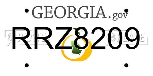 RRZ8209 Georgia License Plate