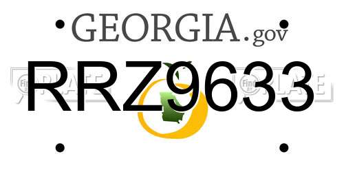 RRZ9633 Georgia License Plate