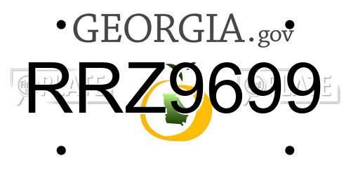 RRZ9699 Georgia License Plate