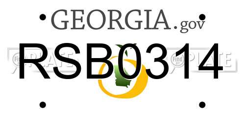RSB0314 Georgia License Plate
