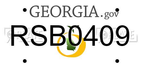 RSB0409 Georgia License Plate