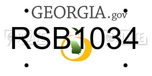 RSB1034 Georgia License Plate