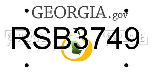 RSB3749 Georgia License Plate