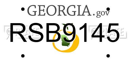 RSB9145 Georgia License Plate