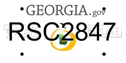 RSC2847 Georgia License Plate