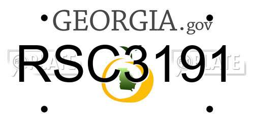 RSC3191 Georgia License Plate