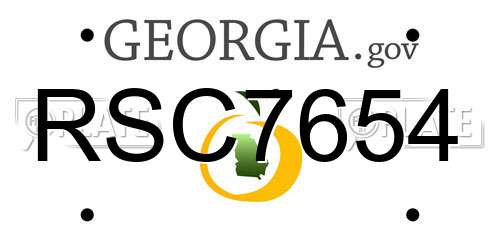 RSC7654 Georgia License Plate