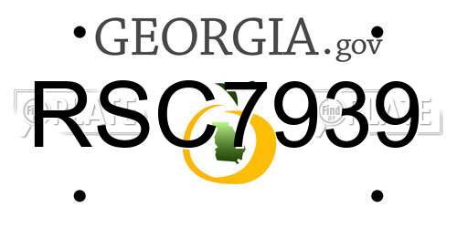 RSC7939 Georgia License Plate