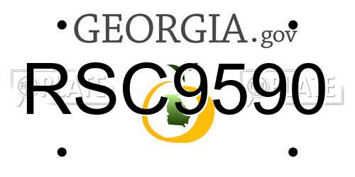 RSC9590 Georgia License Plate