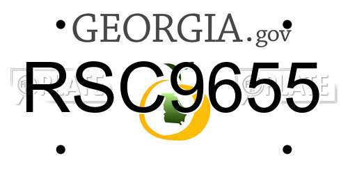 RSC9655 Georgia License Plate