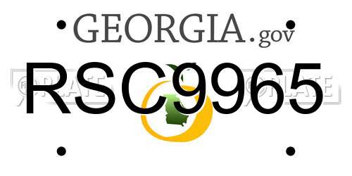 RSC9965 Georgia License Plate