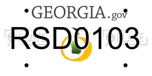 RSD0103 Georgia License Plate