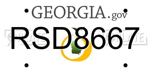 RSD8667 Georgia License Plate