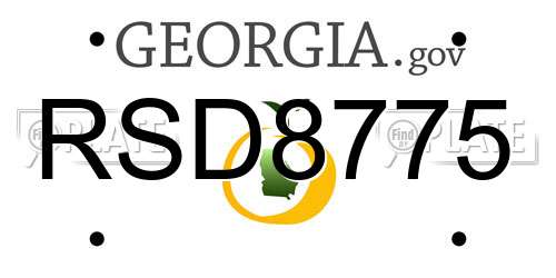 RSD8775 Georgia License Plate