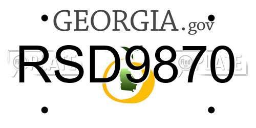 RSD9870 Georgia License Plate
