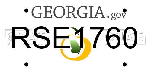 RSE1760 Georgia License Plate