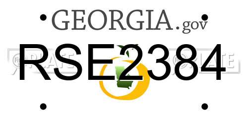 RSE2384 Georgia License Plate