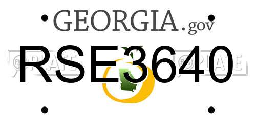 RSE3640 Georgia License Plate