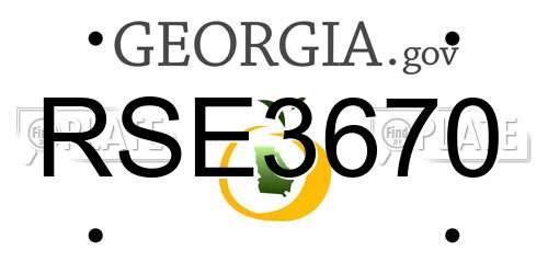 RSE3670 Georgia License Plate