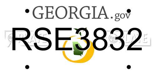 RSE3832 Georgia License Plate