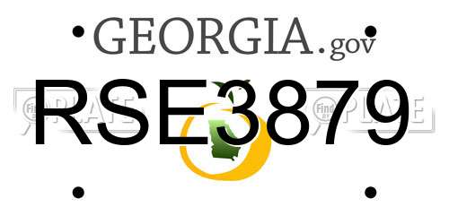 RSE3879 Georgia License Plate