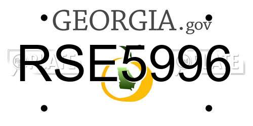 RSE5996 Georgia License Plate