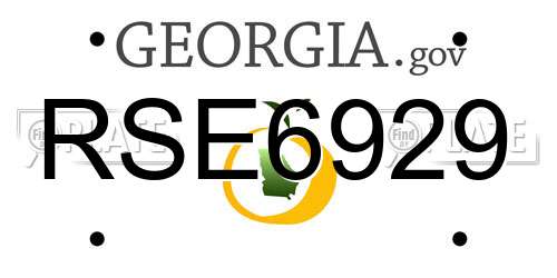 RSE6929 Georgia License Plate