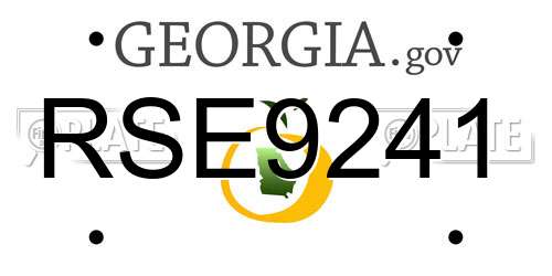 RSE9241 Georgia License Plate