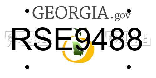 RSE9488 Georgia License Plate