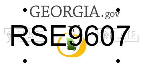 RSE9607 Georgia License Plate