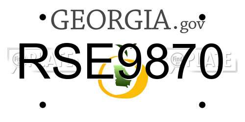 RSE9870 Georgia License Plate
