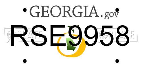 RSE9958 Georgia License Plate