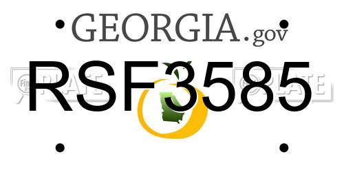 RSF3585 Georgia License Plate