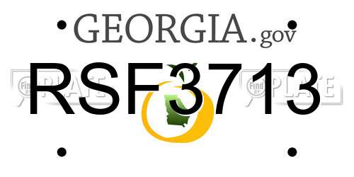 RSF3713 Georgia License Plate