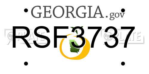 RSF3737 Georgia License Plate