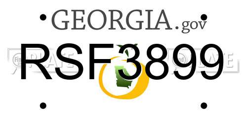 RSF3899 Georgia License Plate