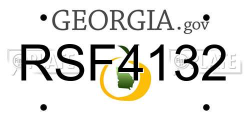 RSF4132 Georgia License Plate