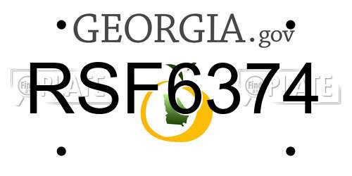 RSF6374 Georgia License Plate