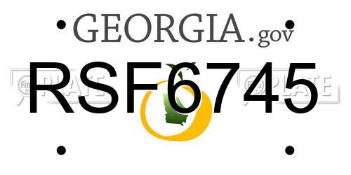 RSF6745 Georgia License Plate