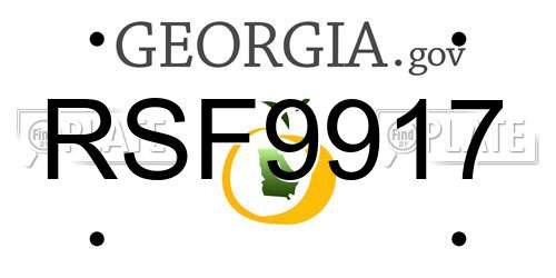 RSF9917 Georgia License Plate