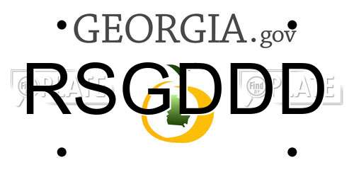RSGDDD Georgia License Plate
