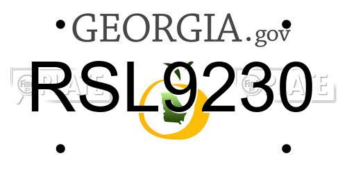RSL9230 Georgia License Plate