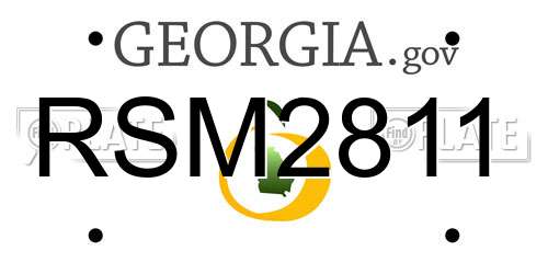 RSM2811 Georgia License Plate