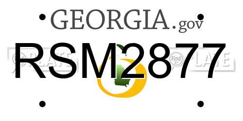 RSM2877 Georgia License Plate