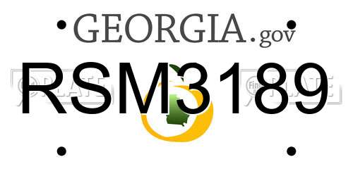 RSM3189 Georgia License Plate