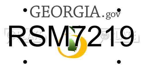 RSM7219 Georgia License Plate