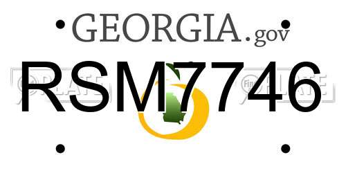 RSM7746 Georgia License Plate