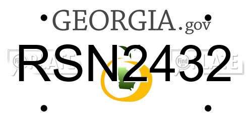 RSN2432 Georgia License Plate