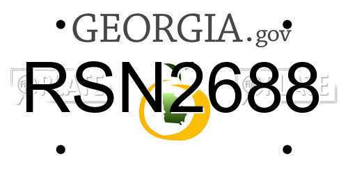 RSN2688 Georgia License Plate