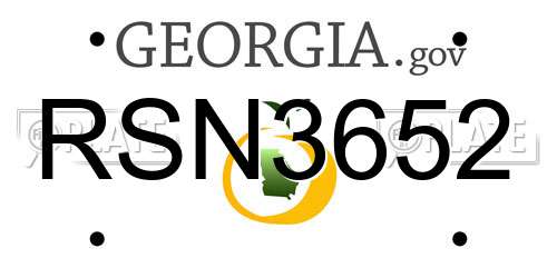 RSN3652 Georgia License Plate